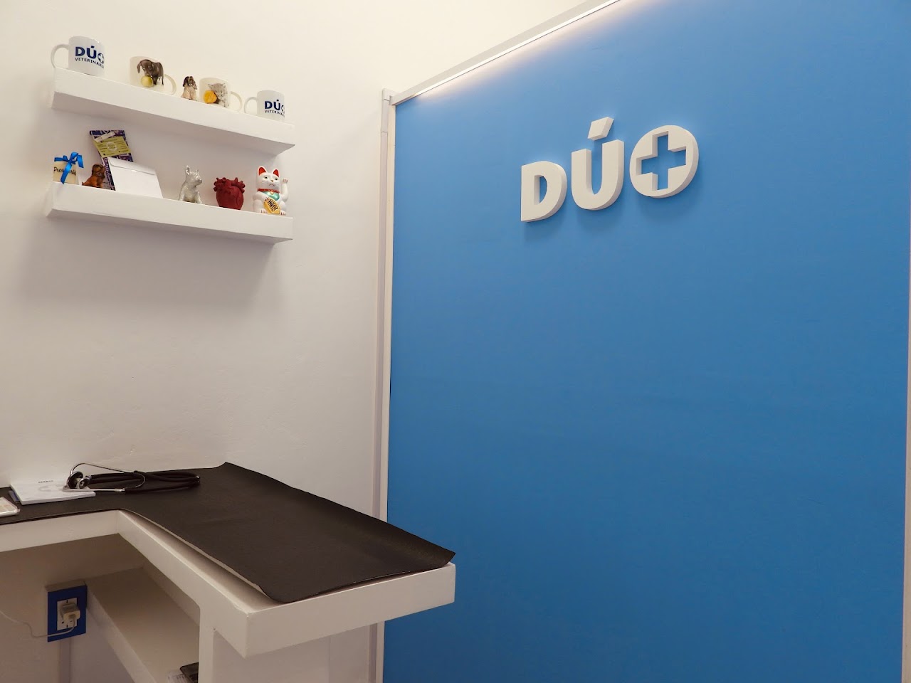 Recepción de Duo veterinaria